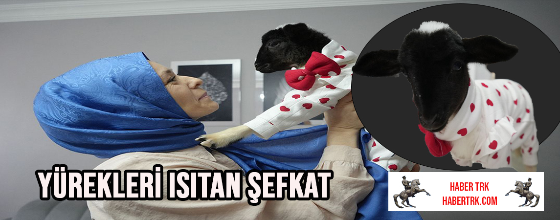 YÜREKLERİ ISITAN ŞEFKAT