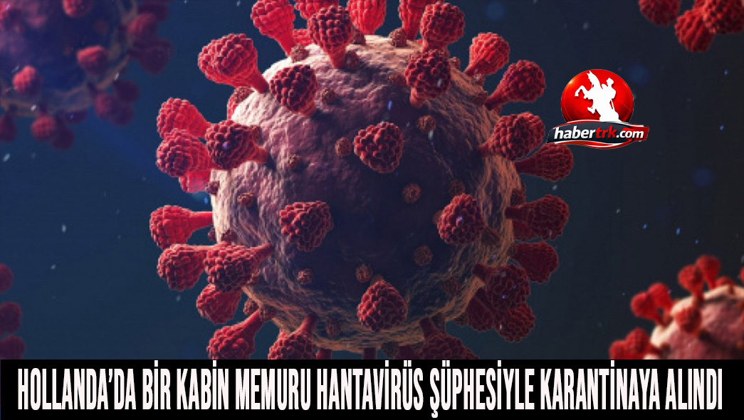 Hollanda’da bir kabin memuru hantavirüs şüphesiyle karantinaya alındı