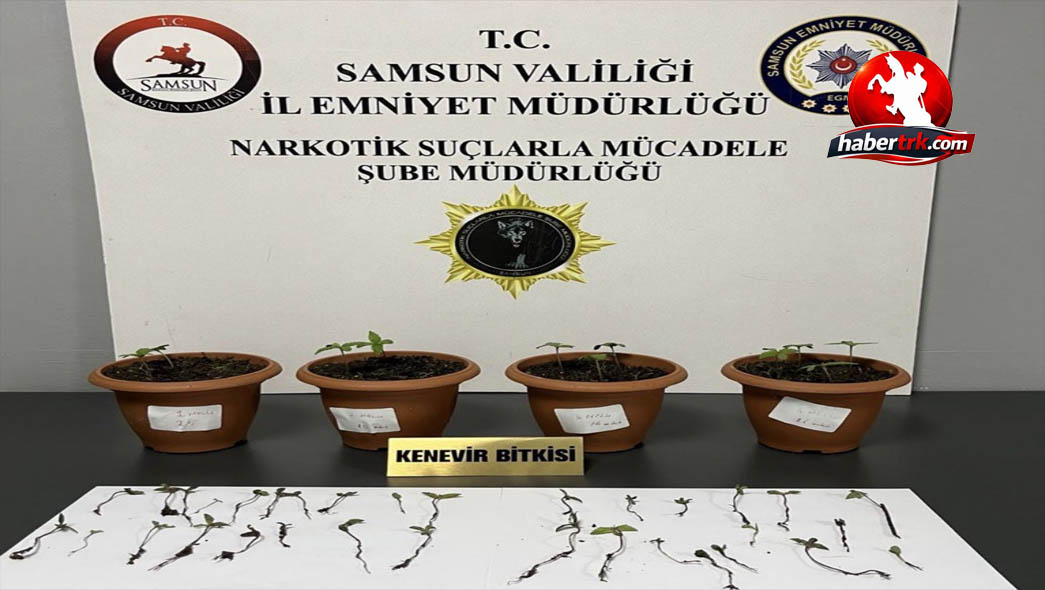 Samsun’da uyuşturucu operasyonu: 4 gözaltı