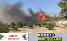 Mersin Silifke’de Orman Yangını: 3 Mahalle Boşaltıldı, Müdahale Sürüyor