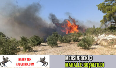 Mersin Silifke’de Orman Yangını: 3 Mahalle Boşaltıldı, Müdahale Sürüyor