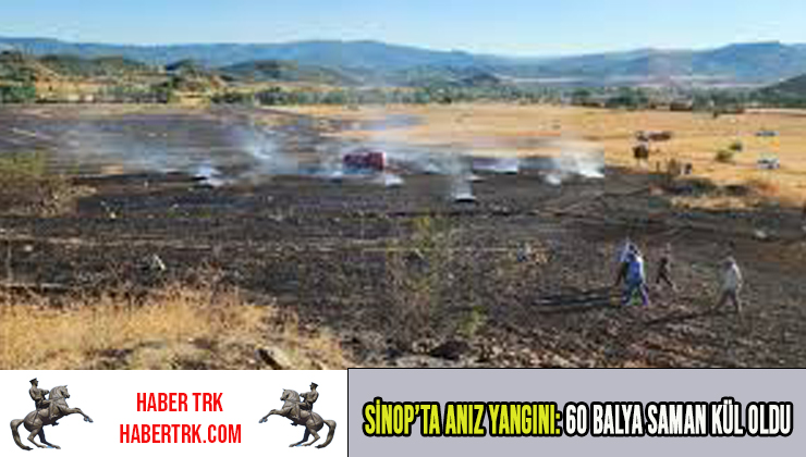 Sinop’ta Anız Yangını: 60 Balya Saman Kül Oldu